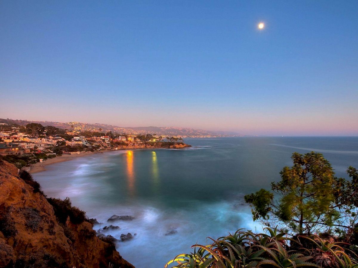 A coastal view at dusk with a moonlit sky. Reflections from buildings light up the calm sea, with lush greenery in the foreground ending the sentence.