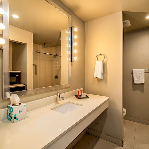 A modern bathroom with a large mirror, bright lights, a sink, wall-mounted hairdryer, tissue box, and towel racks. There’s a shower area and curtain.