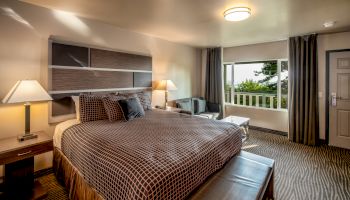 A well-appointed hotel room with a large bed, bedside lamps, seating area, and a window view of greenery outside, with modern furnishings.